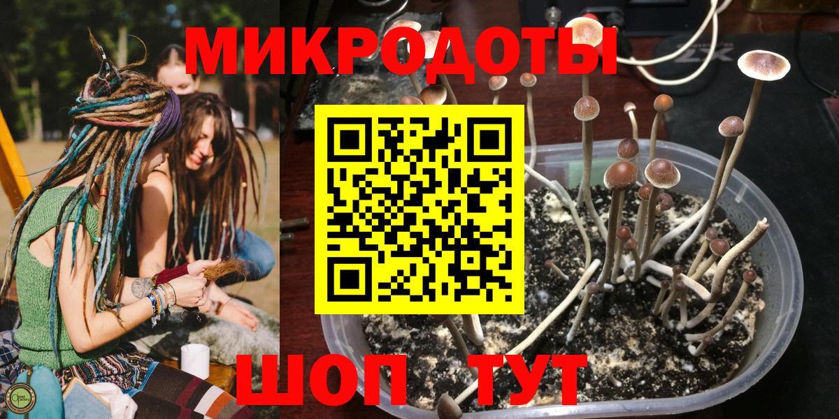 Галлюциногенные грибы ЛСД Кубинка