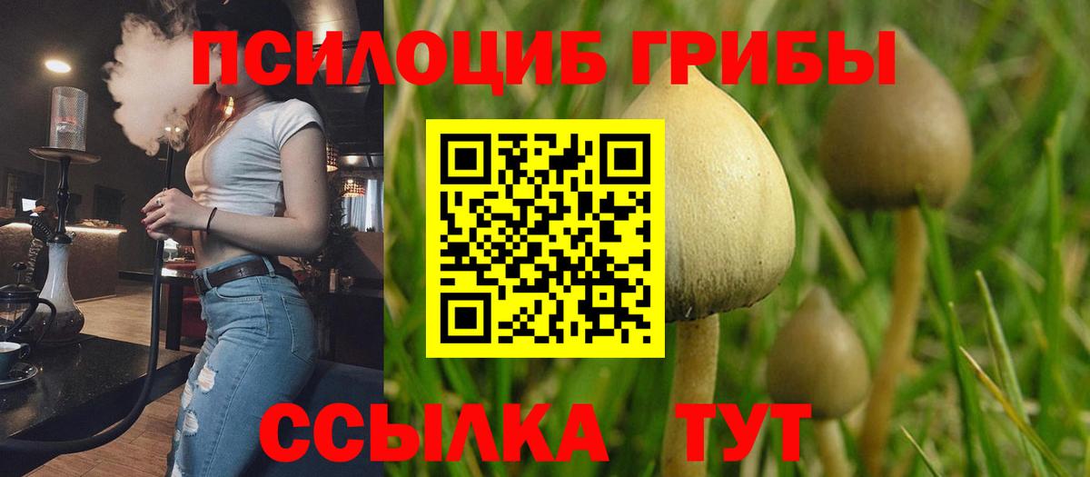 Галлюциногенные грибы мицелий  Вход с VPN  Кубинка 